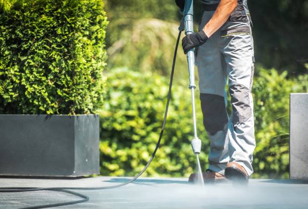 Best Pre-Holiday Cleaning  in Belmont, CA